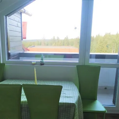 Apartament Chamkoriya Borowec